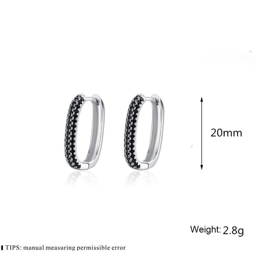 French-style Black Zircon Earrings