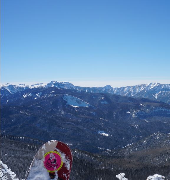 FishSki Provisions Stickers